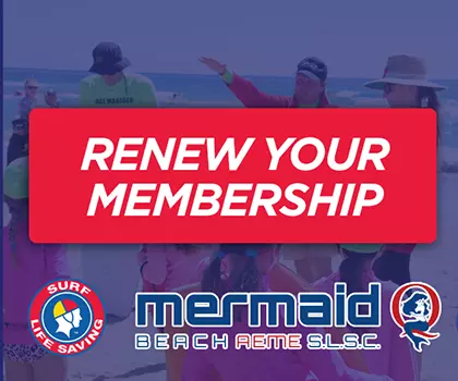 MB-Nipper-Renew
